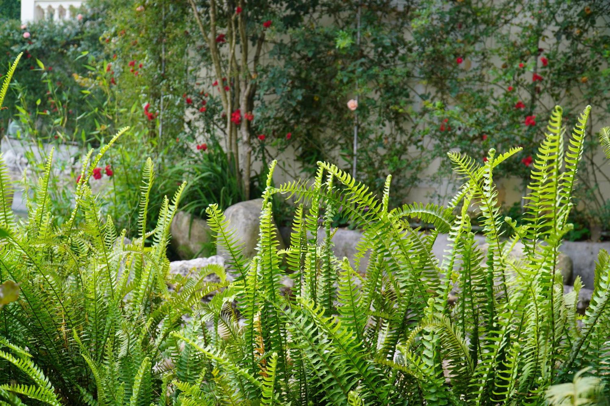 Sapa Highland Resort & Spa Bagian luar foto
