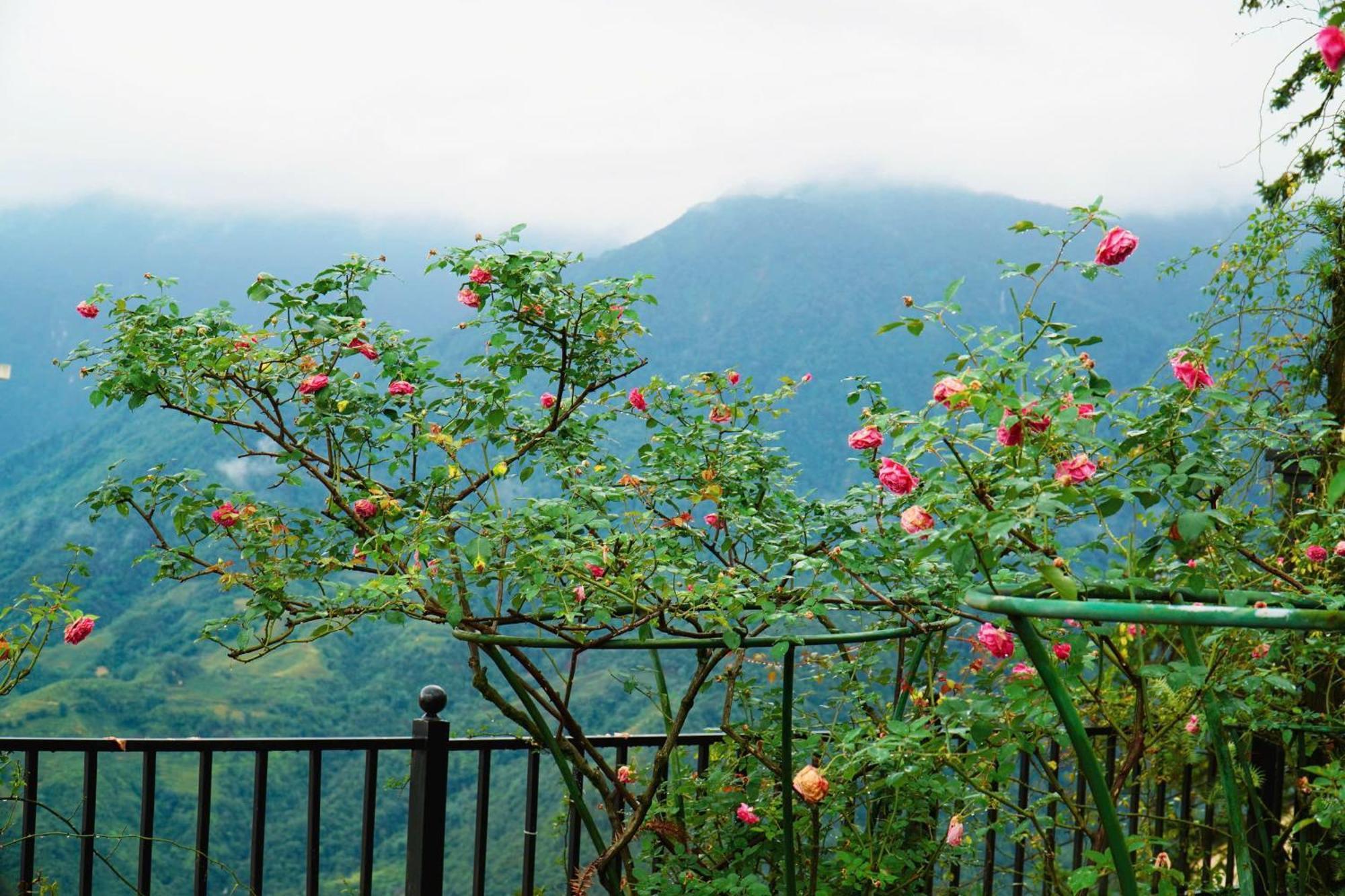 Sapa Highland Resort & Spa Bagian luar foto